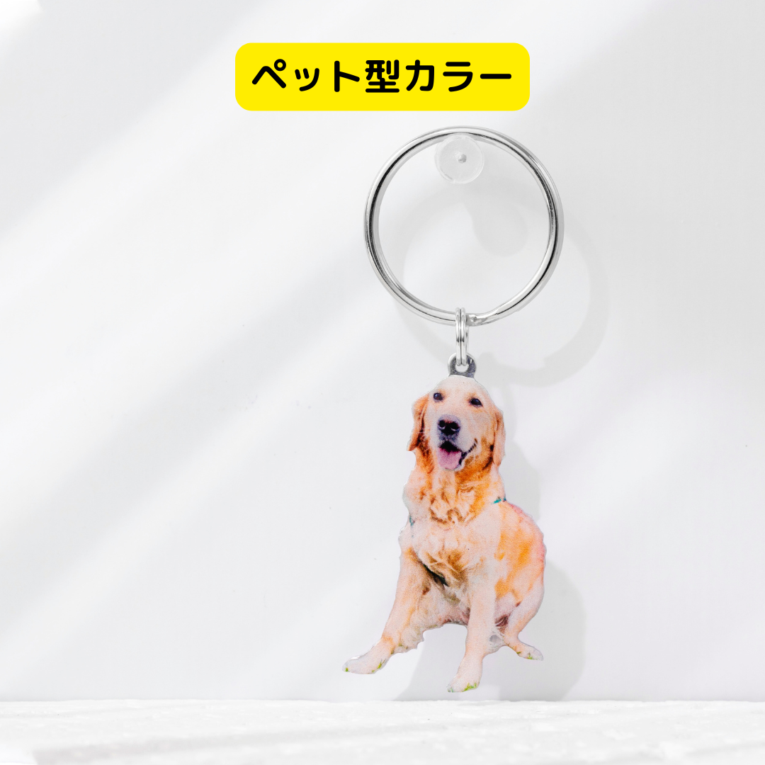 本物そっくり!愛犬キーホルダー♪