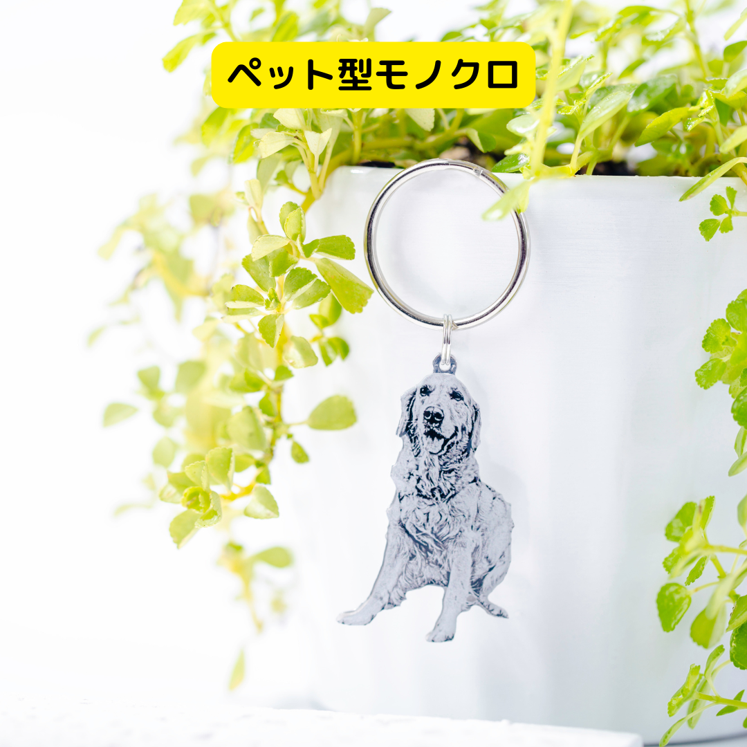 本物そっくり!愛犬キーホルダー♪