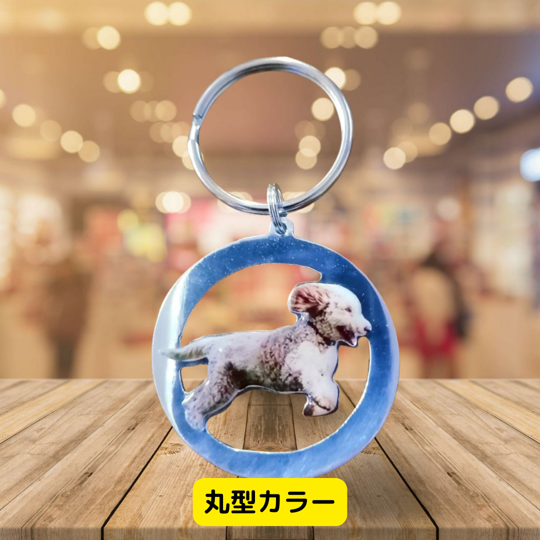 本物そっくり!愛犬キーホルダー♪