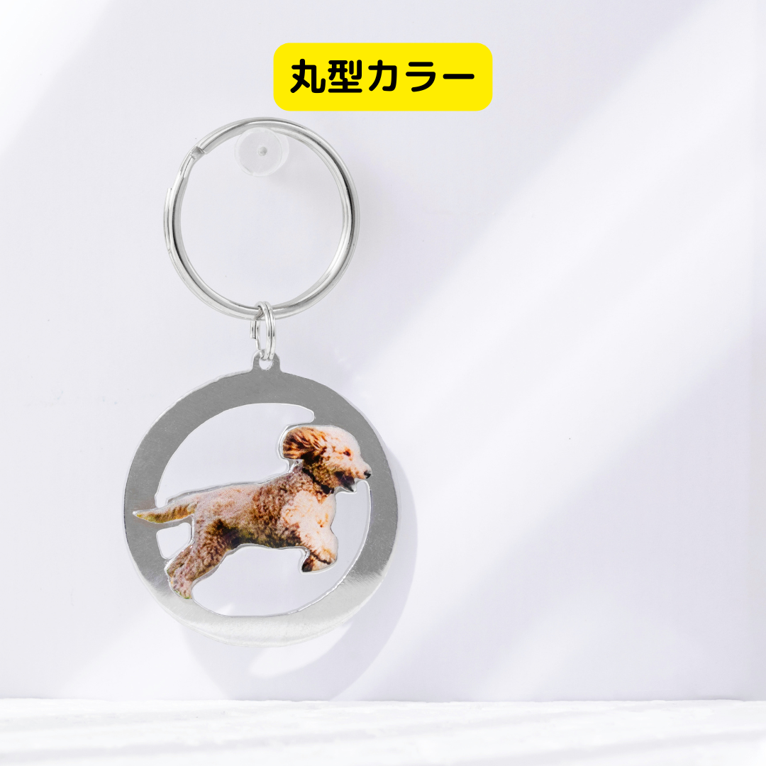 本物そっくり!愛犬キーホルダー♪