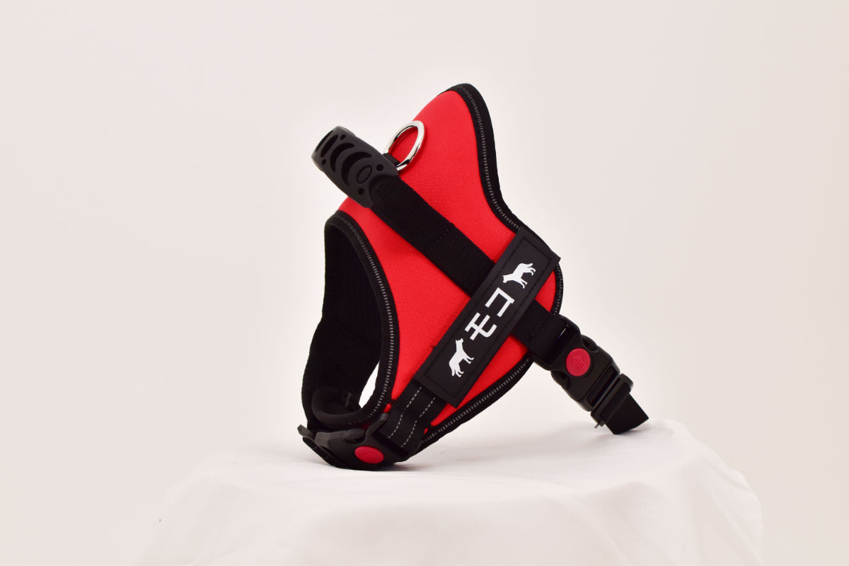 【プレミアム版】FunFunPet 高機能ハーネス (お名前タグ作成サービス付き)