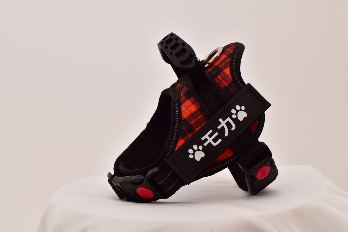 【プレミアム版】FunFunPet 高機能ハーネス (お名前タグ作成サービス付き)