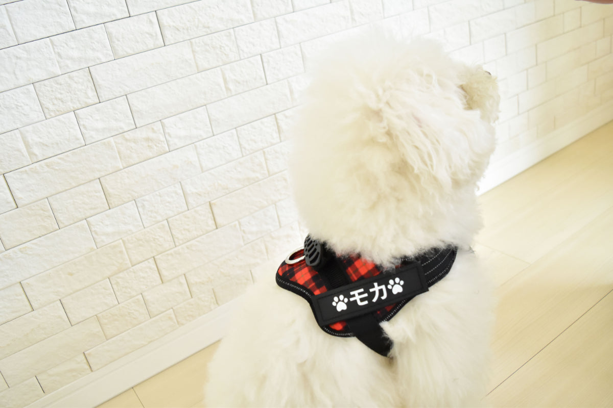 【プレミアム版】FunFunPet 高機能ハーネス (お名前タグ作成サービス付き)