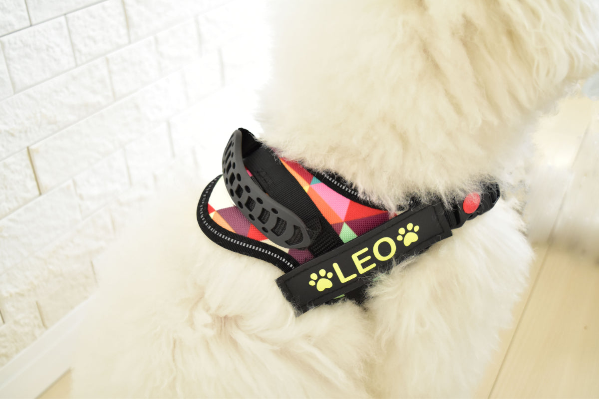 【プレミアム版】FunFunPet 高機能ハーネス (お名前タグ作成サービス付き)