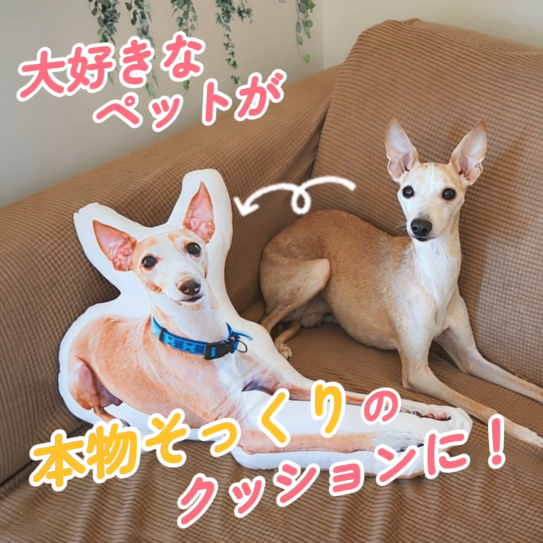 本物そっくり♪ペットクッション