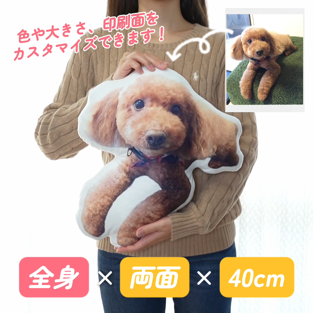 本物そっくり♪ペットクッション