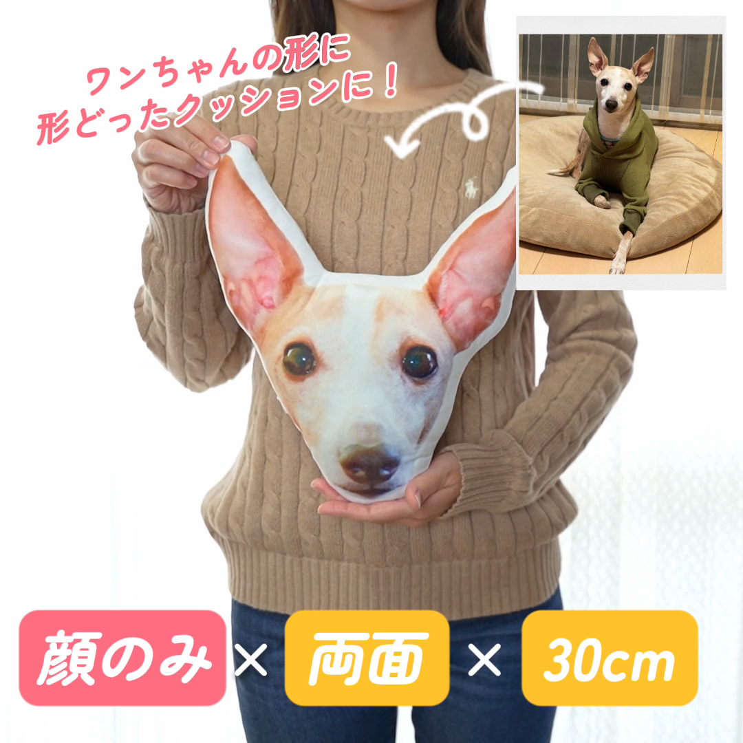 本物そっくり♪ペットクッション