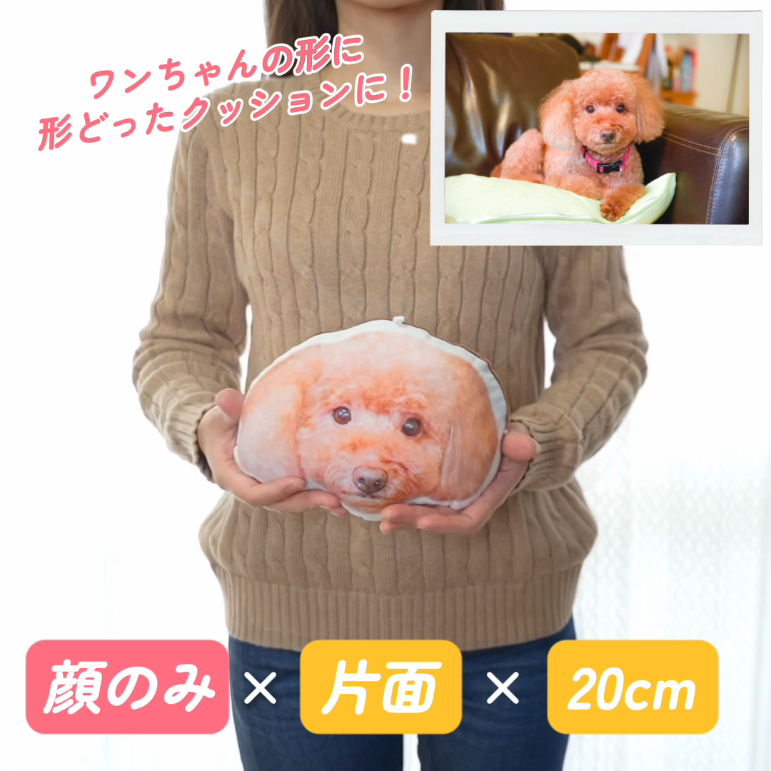 本物そっくり♪ペットクッション
