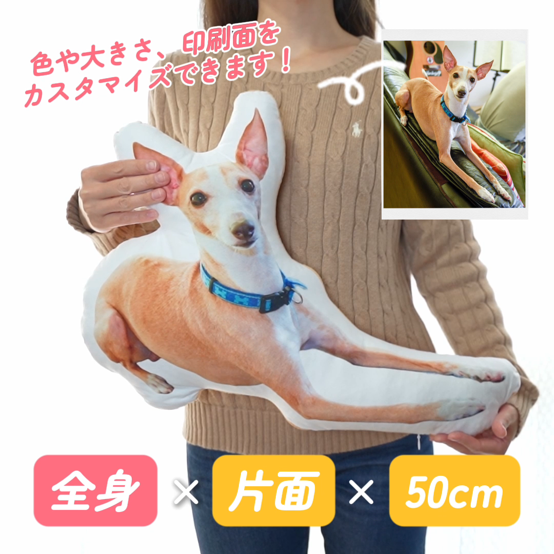 本物そっくり♪ペットクッション