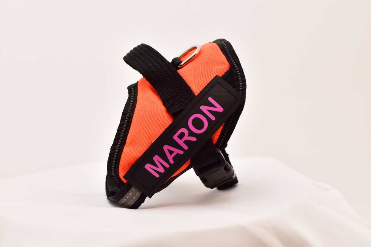 FunFunPet高機能ハーネス 犬用 お名前タグ付き