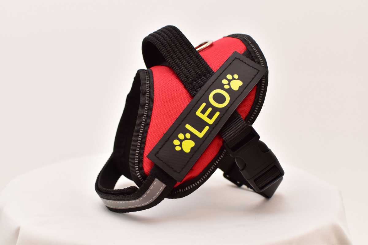 FunFunPet高機能ハーネス 犬用 お名前タグ付き