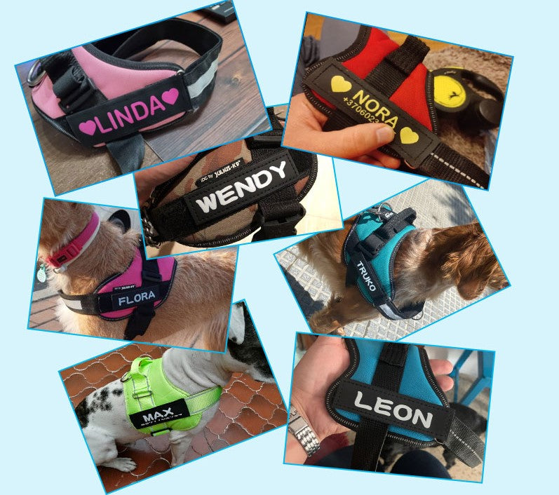 ハーネス専用お名前タグ(2枚セット・マジックテープ式)